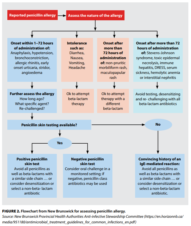 Alternative antibiotics if allergic to penicillin